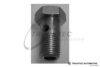 TRUCKTEC AUTOMOTIVE 79.10.001 Hollow Screw